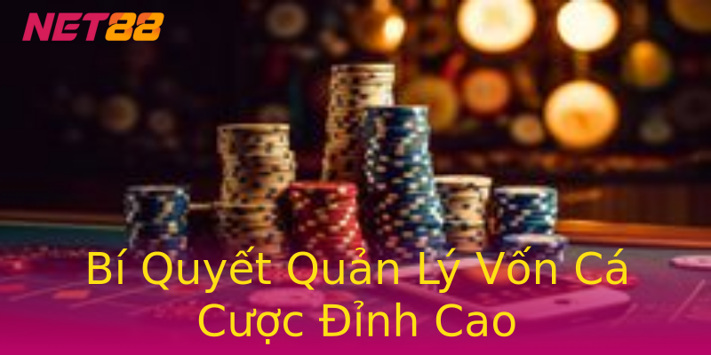Bí Quyết Quản Lý Vốn Cá Cược Đỉnh Cao Bí Quyết Quản Lý Vốn Cá Cược Đỉnh Cao
